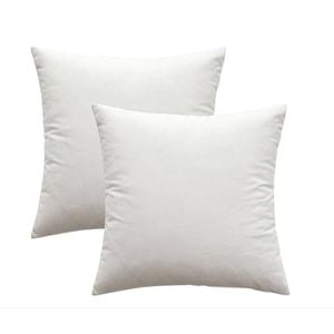 Catzon 2 Pcs Square Throw Pillow Covers Solid Soft Velvet for Spring Sofa-White