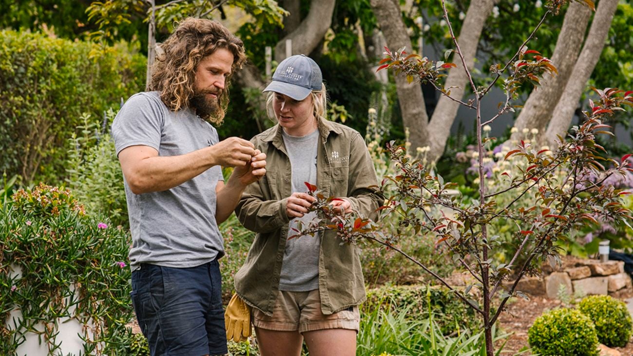 A male and female landscaper, shot from knees up, look at a leaf from a tree