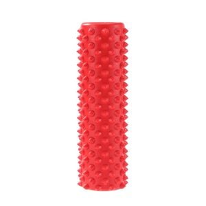 Paws & Claws Heavy Duty 17.5x5cm TPR Pet Toy Jumbo Spikey Chew Stick - Assorted