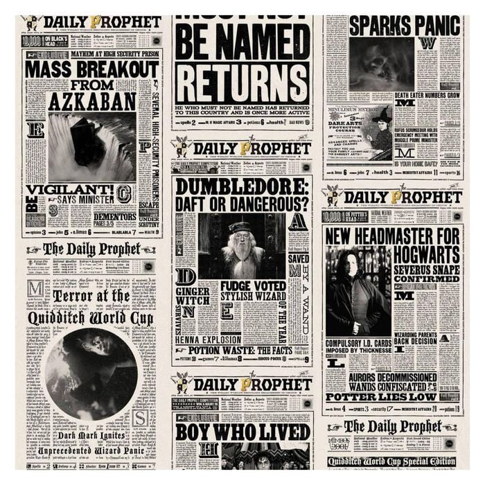 Wallpaper Trader Harry Potter Daily Prophet Mural Roll 10m X 52cm