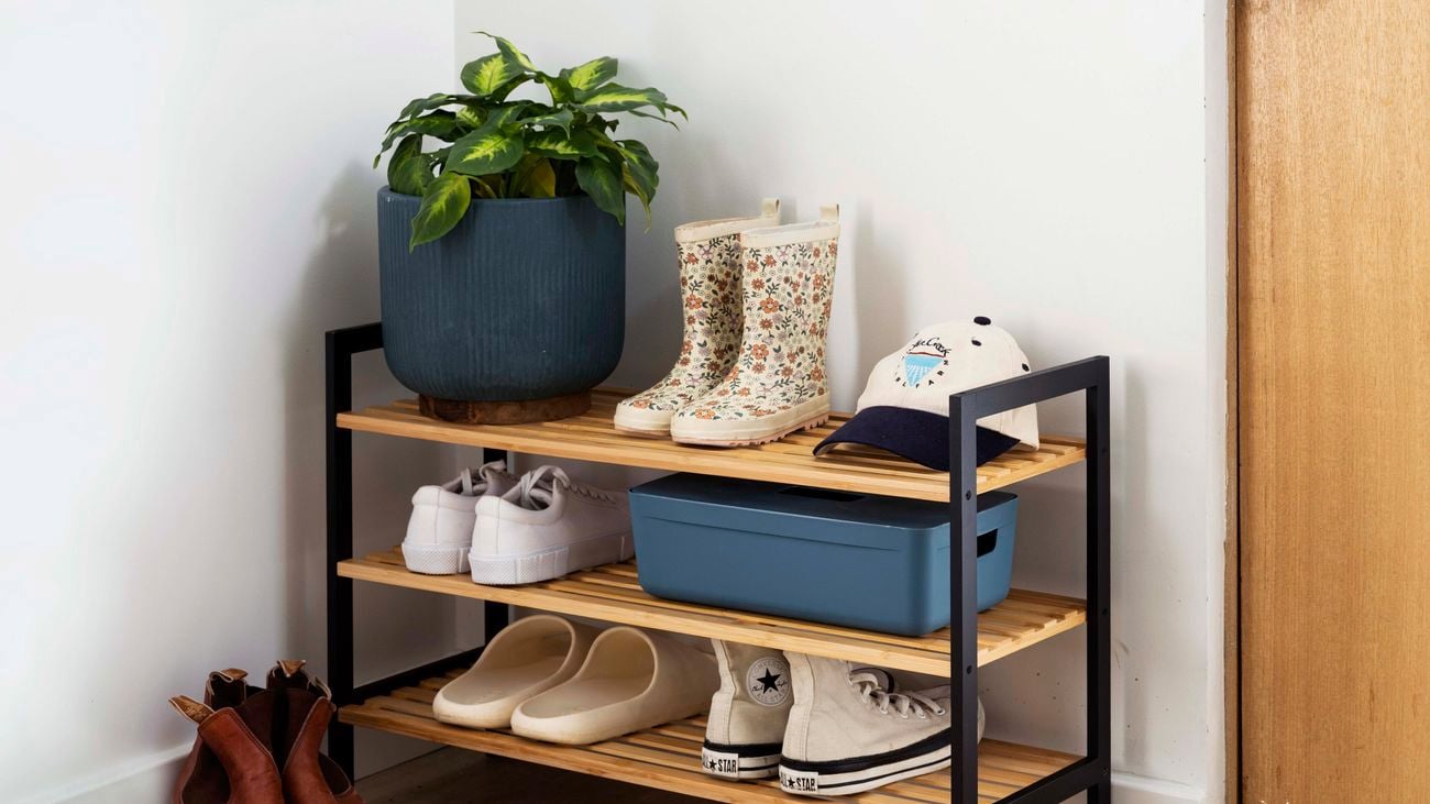 A shoe rack with shoes and a pot plant on it next to a front door