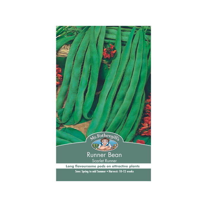 Mr Fothergill's Scarlet Runner Bean Vegetable Seeds