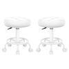 Alfordson Set Of 2 Salon Stool Round Swivel Barber Hair Dress Chair Gas Lift All White
