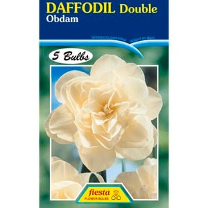 Daffodil Obdam - 5 Bulbs