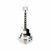 Axiom Columbia Archtop Electric Guitar - "White Bird"