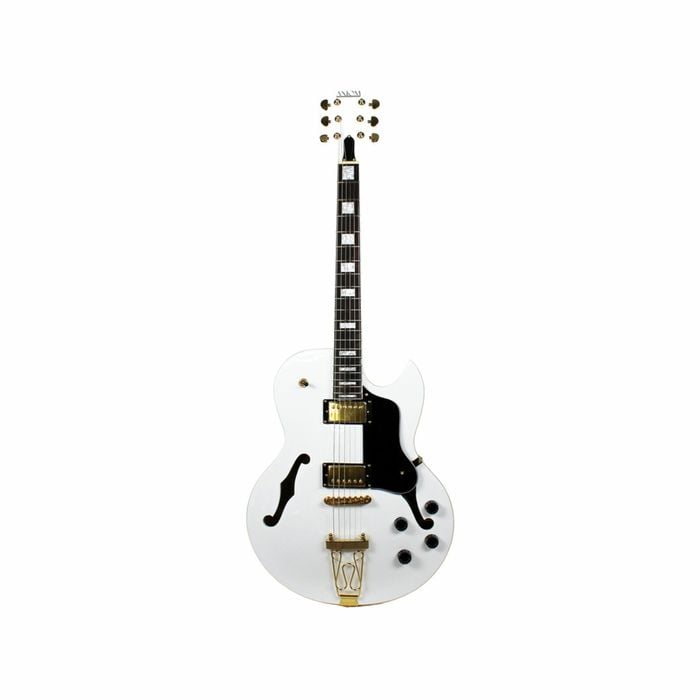 Axiom Columbia Archtop Electric Guitar - "White Bird"
