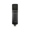 SWAMP SC200 Large Diaphragm Studio Condenser Microphone