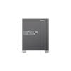 Philips SBX202-5C0 50KG Grey - Telescopic Handle Anti-Theft Smart Safe