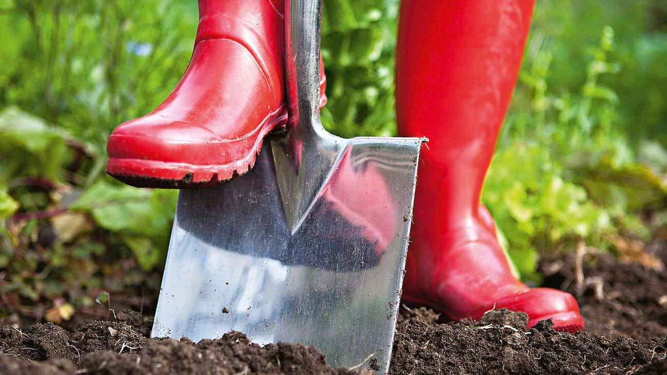 Red gumboots pushing a spade into the ground.