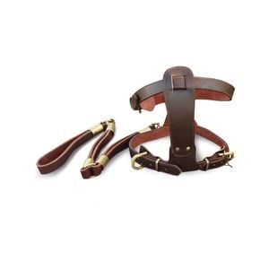 CottonMore Genuine Ox Leather Large Breed Dog Harness Set Harness & Leash - Xlarge