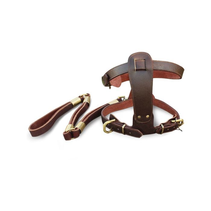 CottonMore Genuine Ox Leather Large Breed Dog Harness Set Harness & Leash - Xlarge