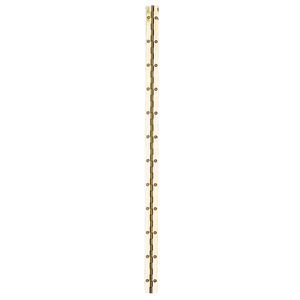 Taskmaster 610 x 27mm Polished Brass Continuous Hinge