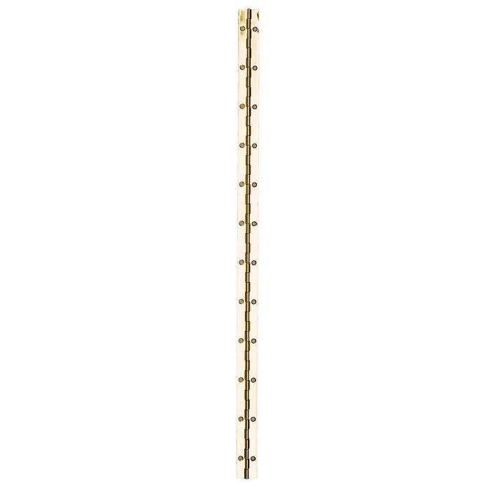 Taskmaster 610 x 27mm Polished Brass Continuous Hinge