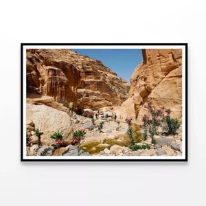 Biosphere Reserve in Jordan  Print 100% Australian Made 90x60cm  (Poster)