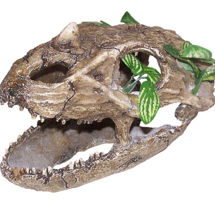 Urs Skull W/ Small Teeth Reptile Enclosure Accessory Large