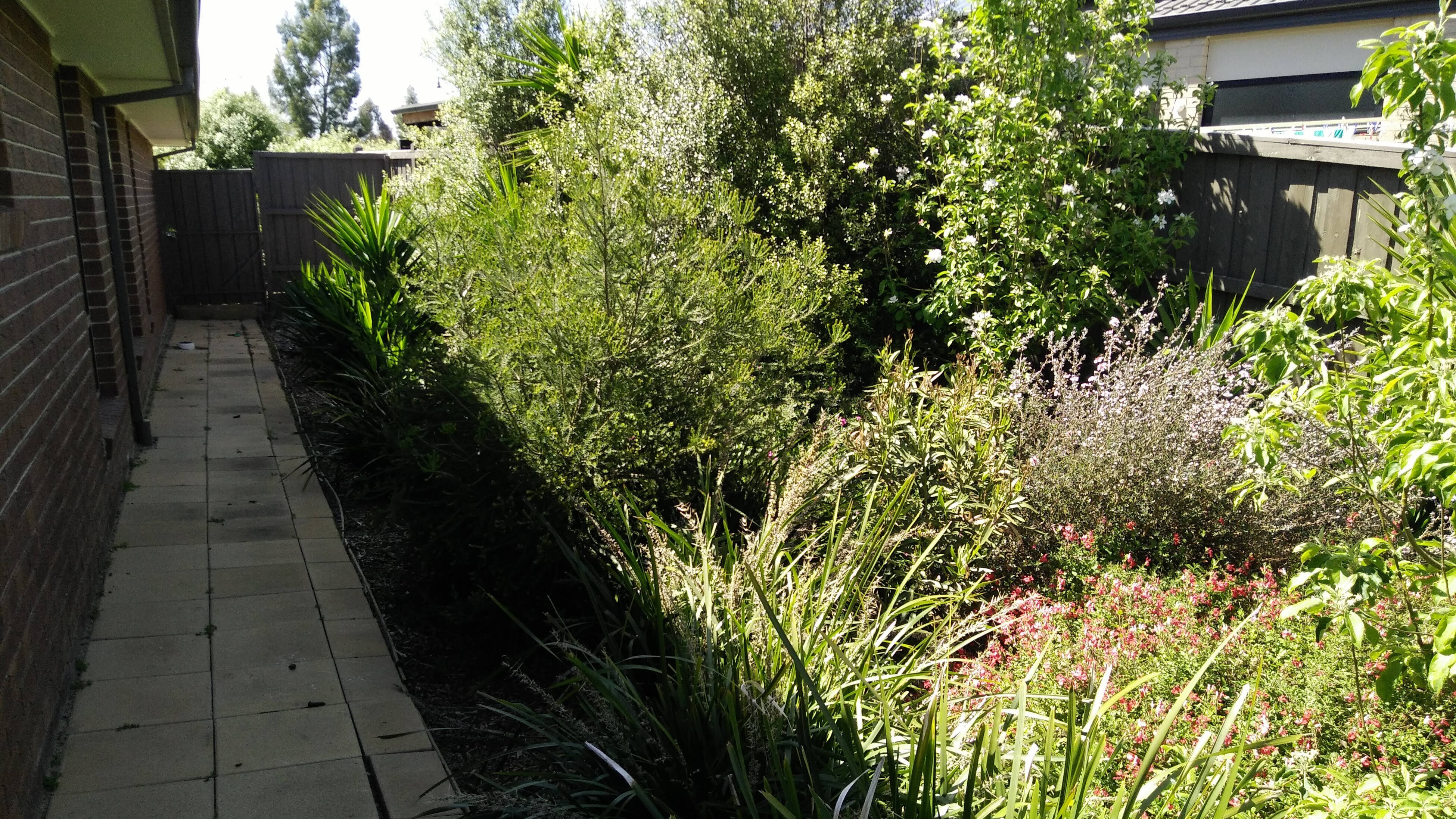 D.I.Y. - Step 1 - How one family turned an overgrown backyard into a dream family space