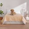 Charlie's Sofur Waterproof Dog Bed Cover Protector Double/Queen 208x208cm Oat