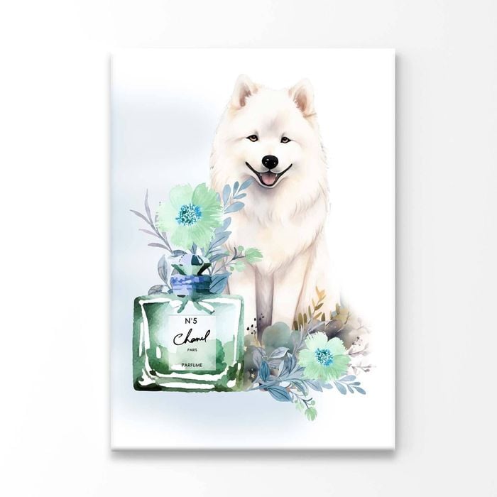 Modern Perfume with Samoyed Dog Print 100% Australian Made 100x150cm (Stretched Canvas)