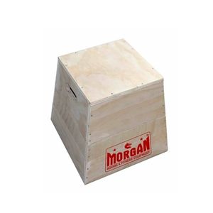 Morgan 3 In 1 Trapezia Wooden Plyo Box