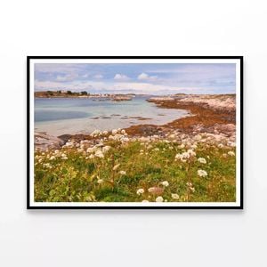 Field Of Flowers Next To River   Print 100% Australian Made 120x90cm  (Poster)