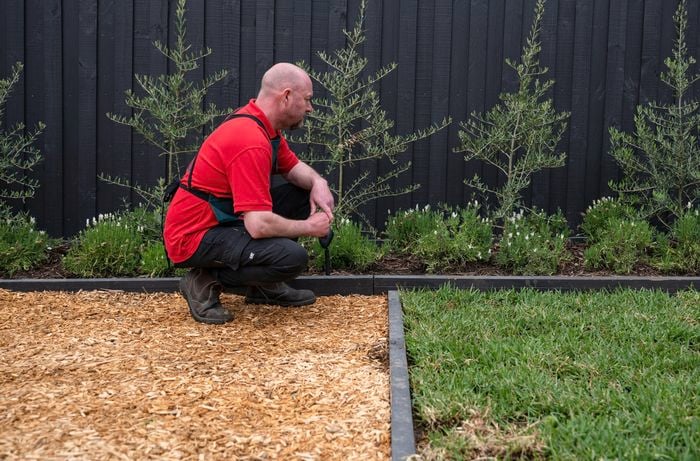 A person looking at the garden bed.