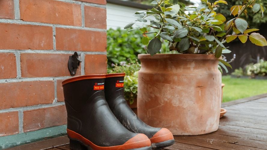 Red Band Low, our new ankle-length gumboot