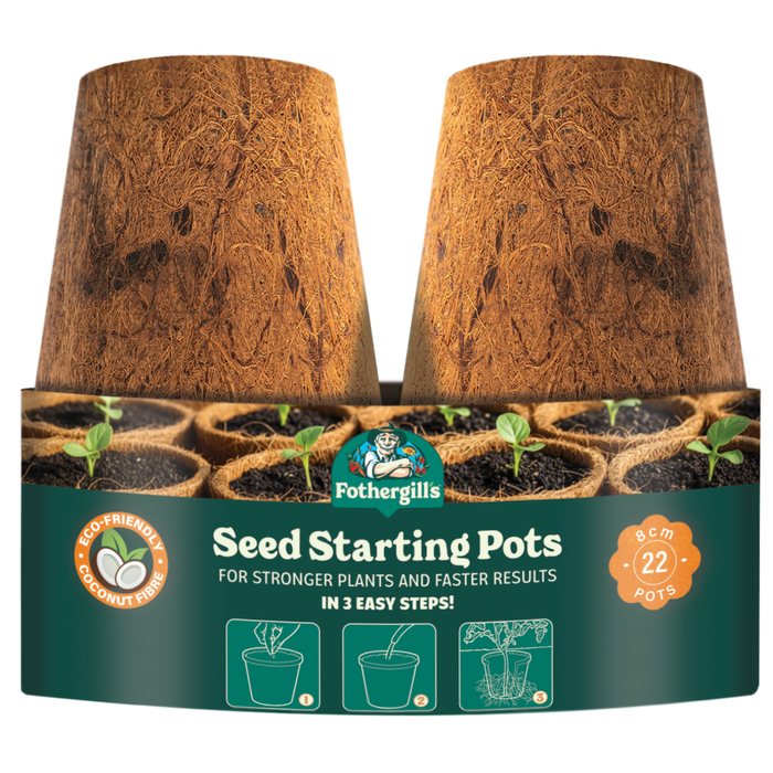Fothergill's 8cm Coco Coir Propagation Pots - 22 Pack