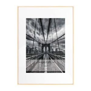 Cooper & Co. Platinum Metal Frame A1/A2