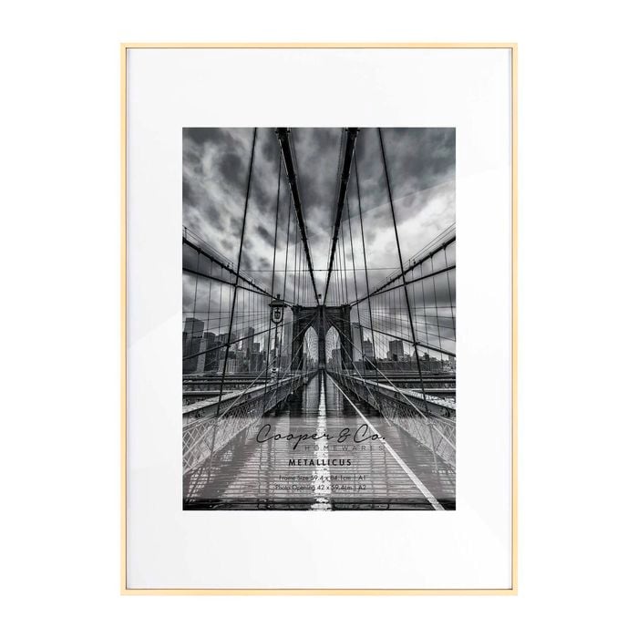Cooper & Co. Platinum Metal Frame A1/A2
