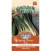 Mr Fothergill's Spring Onion Savel Container Seeds