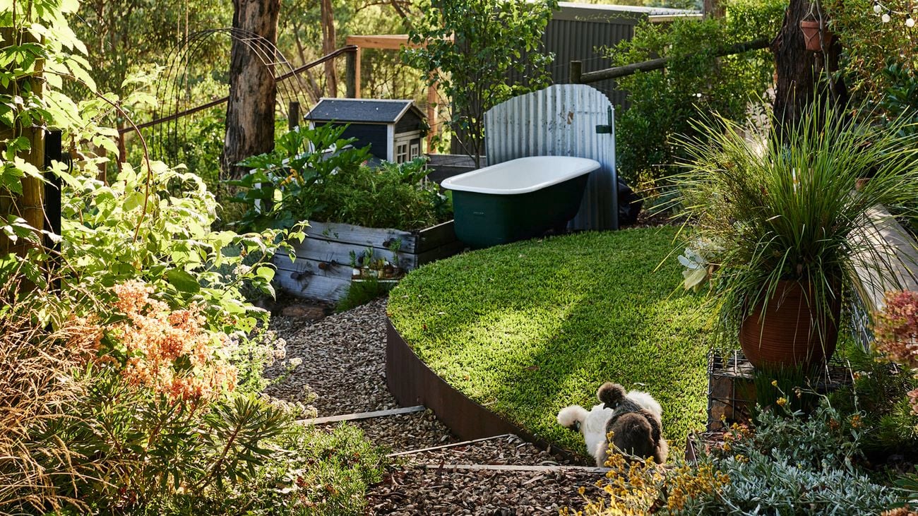A backyard featuring sensory garden plants, a circular lawn, an outdoor bathtub and chickens.