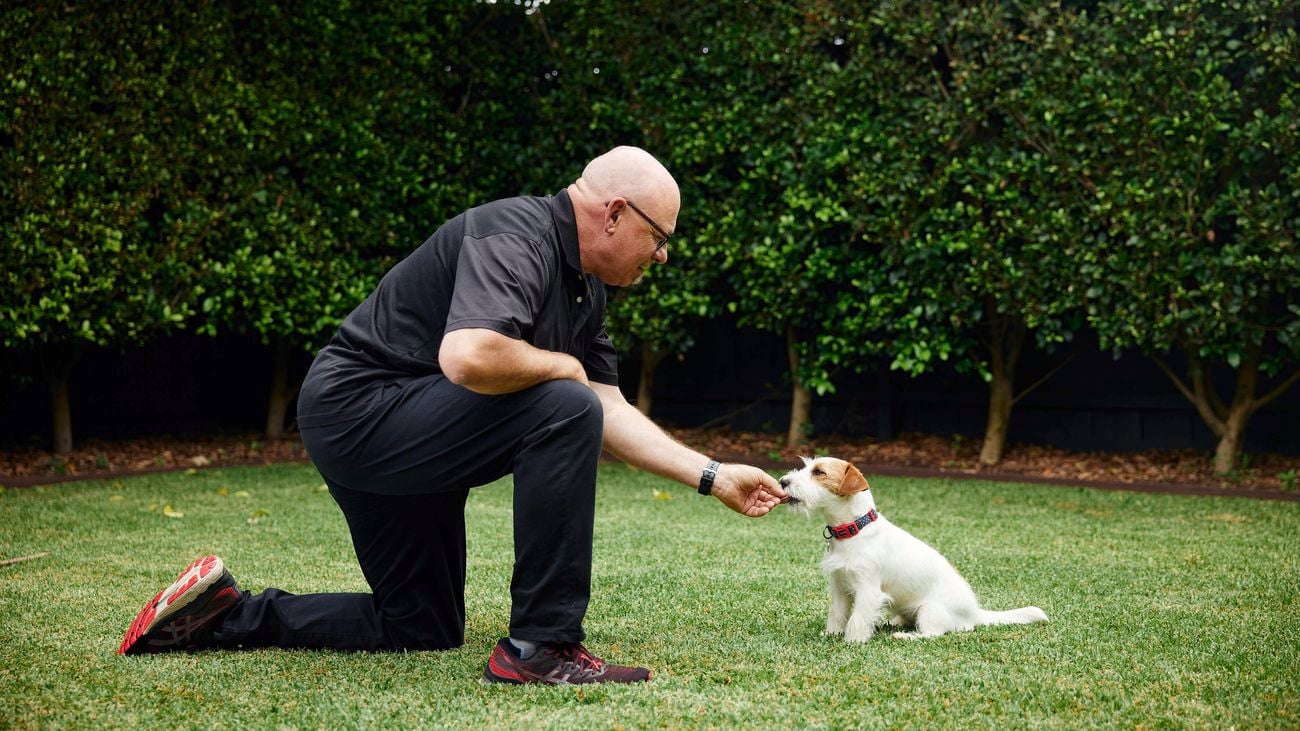 Puppy being given a treat on the grass.