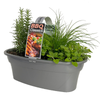 5L BBQ Herb Trough