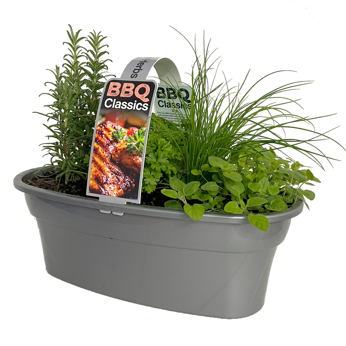 5L BBQ Herb Trough