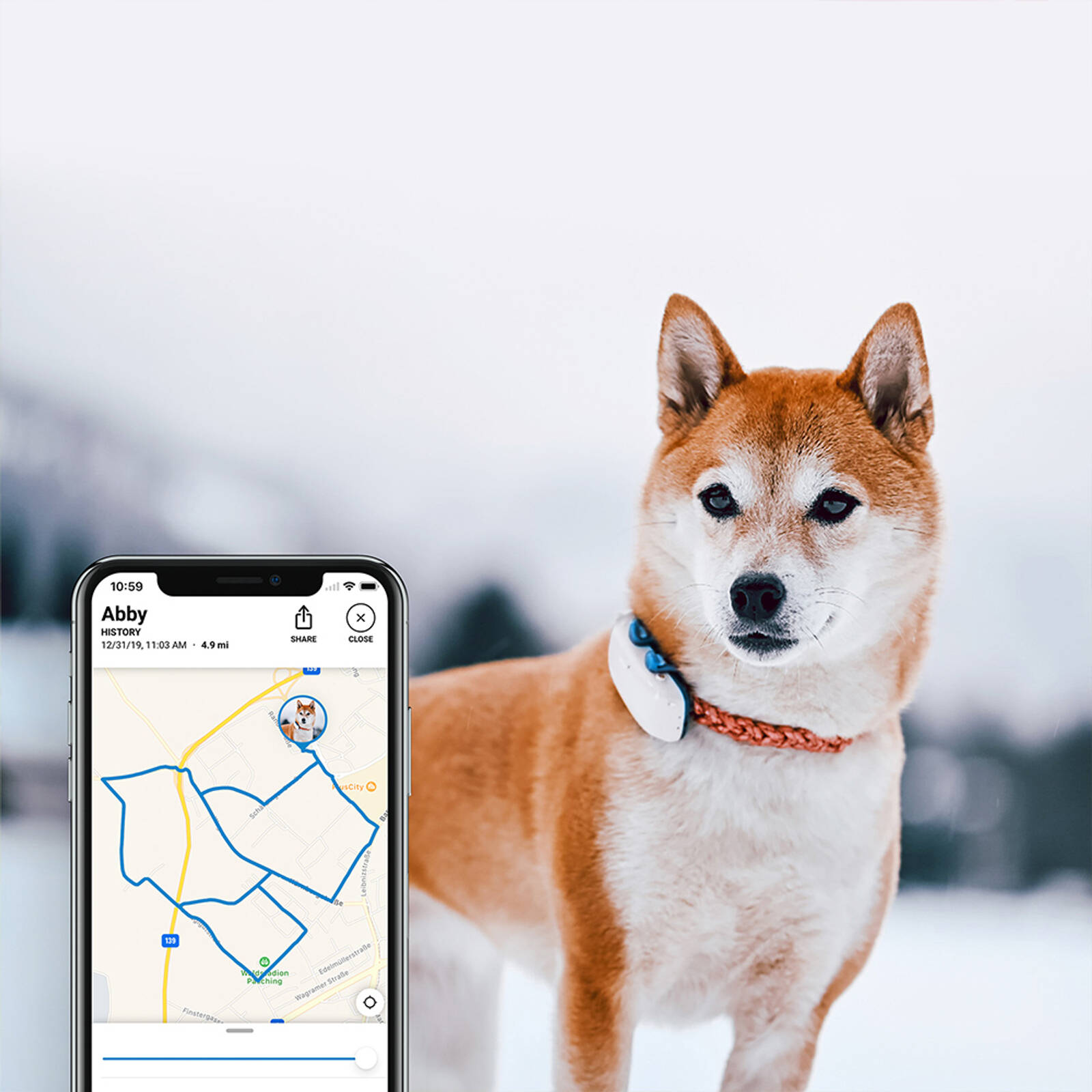 Tractive Dog 4 Real Time Subscription Based Pet Gps Tracker