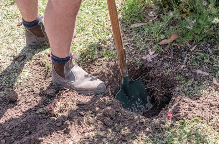 A person digging a post hole with a spade