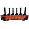 6-Pack SWAN Ignition Coils for Honda Accord & Legend (3.5L & 3.7L)