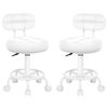 Alfordson Set Of 2 Salon Stool Backrest Swivel Barber Hair Dress Chair Riley All White