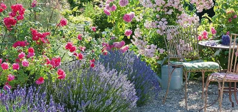 metal outdoor setting in a cottage garden