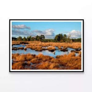 Wetlands in Evening Winter Sun  Print 100% Australian Made 120x90cm  (Poster)
