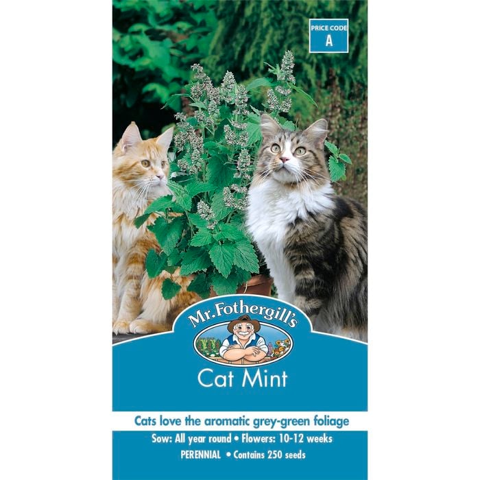 Mr Fothergill's Catmint Seeds