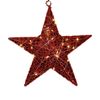 Catzon 30cm LED Lighted Hanging Star for Christmas-Red