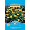 Mr Fothergill's Golden Everlasting Flower Seeds