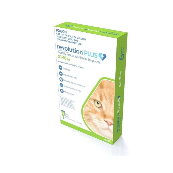 Revolution Plus for Cats 5 - Large 6 Pack  10kg  Green
