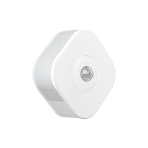 Dusk-To -Dawn Motion Sensor Night Light  