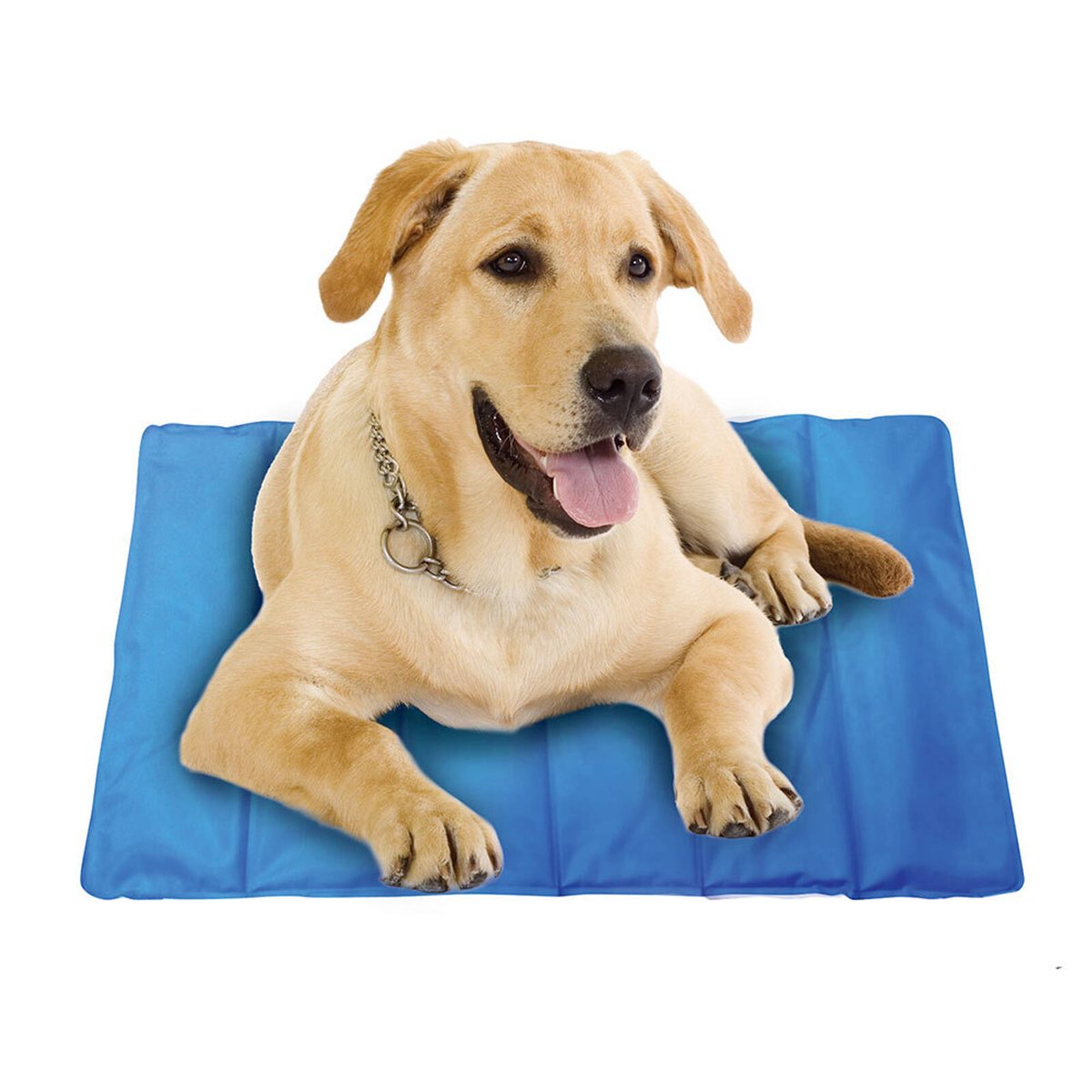 Spatastic Pet Cooling Mat Jumbo 90 x 60cm Blue Bunnings Australia