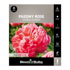 Bloomin' Bulbs Paeony Rose Coral Charm - 1 Pack