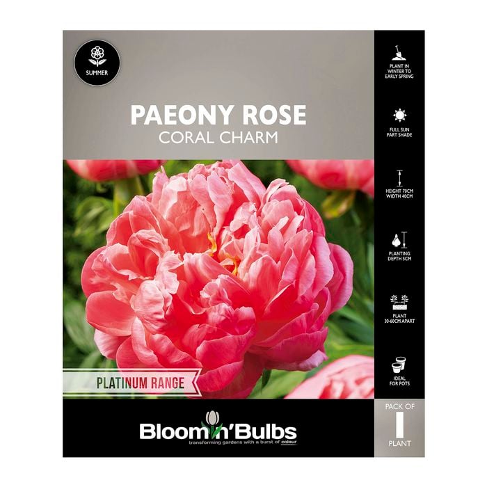 Bloomin' Bulbs Paeony Rose Coral Charm - 1 Pack