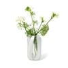 Salt & Pepper Zola Vase 13 X 21cm