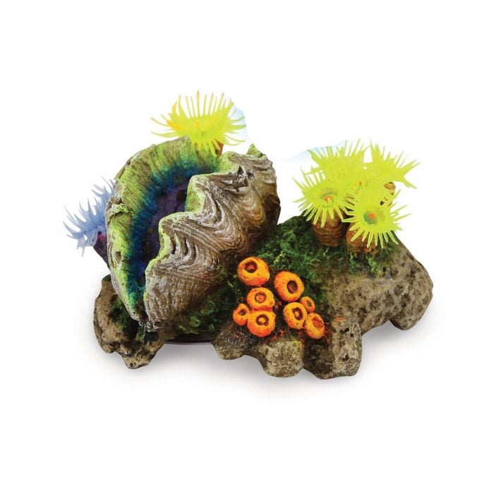 Kazoo Closed Clam W/soft Coral & Plants (18938)